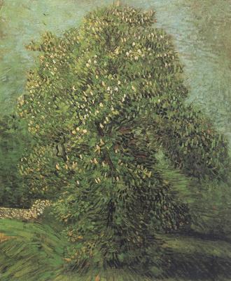 Vincent Van Gogh Chestnut Tree in Blosson (nn04) oil painting image
